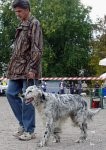 ВЫСТАВКИ - Выставка Динамо-Военохота 2006